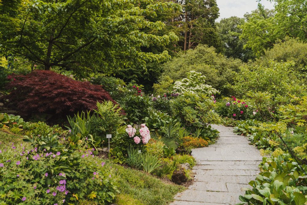 Hochzeit auf der Insel Mainau mit Schiffstour auf dem Bodensee