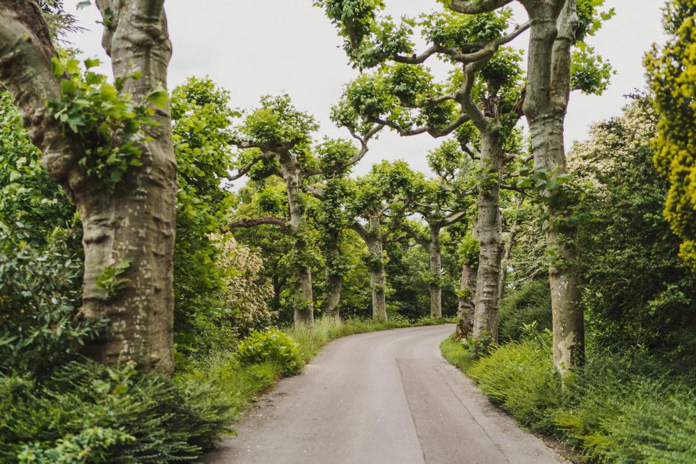 Hochzeit auf der Insel Mainau mit Schiffstour auf dem Bodensee